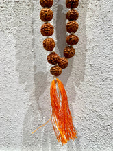 Indlæs billede til gallerivisning Mala Rudraksha
